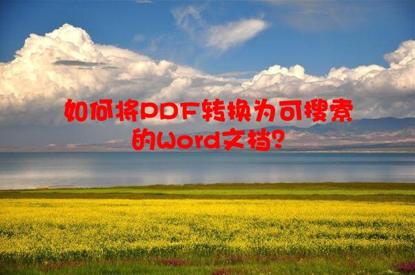 如何将PDF转换为可搜索的Word文档？