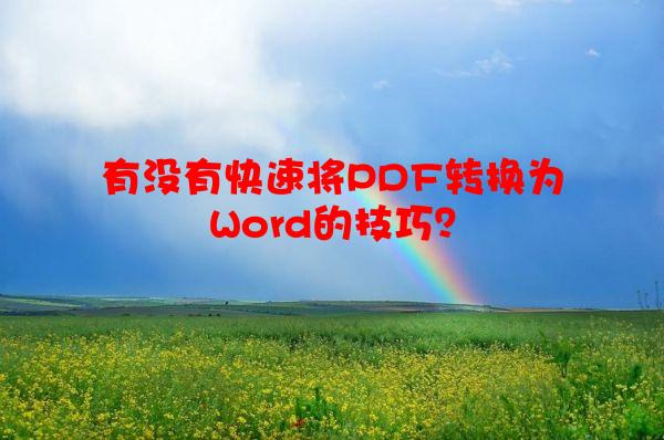 有没有快速将PDF转换为Word的技巧？