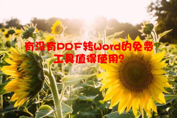 有没有PDF转Word的免费工具值得使用？