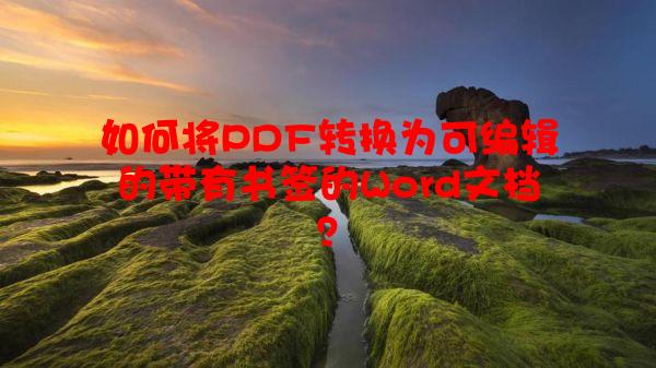 如何将PDF转换为可编辑的带有书签的Word文档？