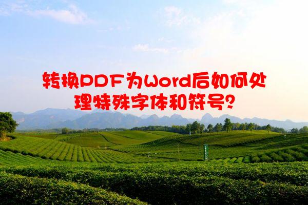 转换PDF为Word后如何处理特殊字体和符号？