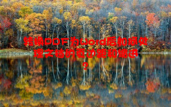转换PDF为Word后如何处理文档的页边距和缩进？