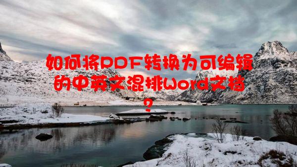 如何将PDF转换为可编辑的中英文混排Word文档？