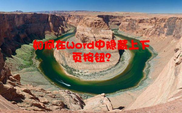 如何在Word中隐藏上下页按钮？