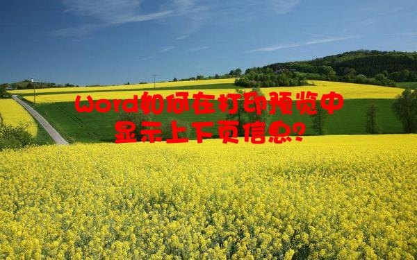 Word如何在打印预览中显示上下页信息？