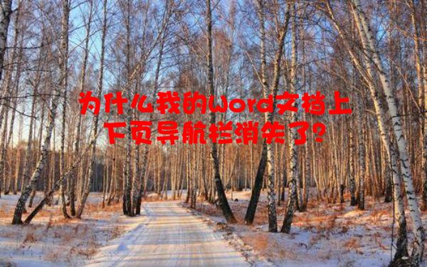 为什么我的Word文档上下页导航栏消失了？