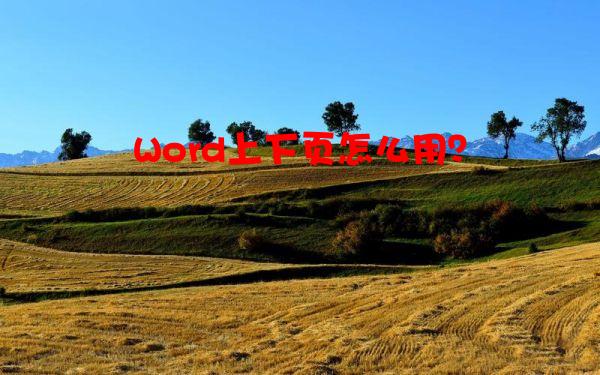 Word上下页怎么用？