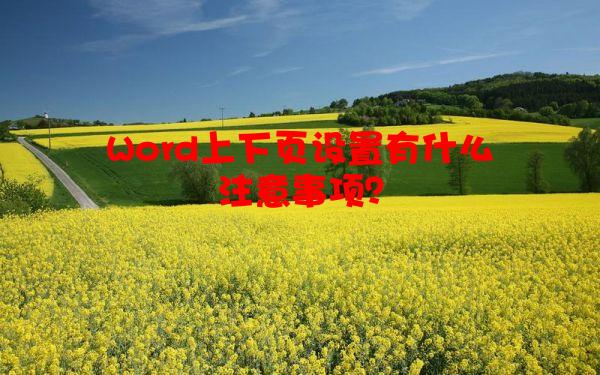 Word上下页设置有什么注意事项？
