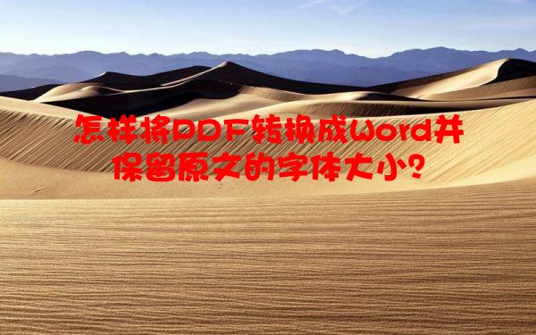 怎样将PDF转换成Word并保留原文的字体大小？