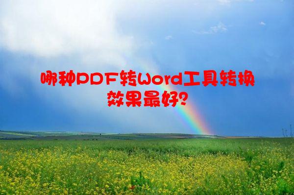 哪种PDF转Word工具转换效果*好？