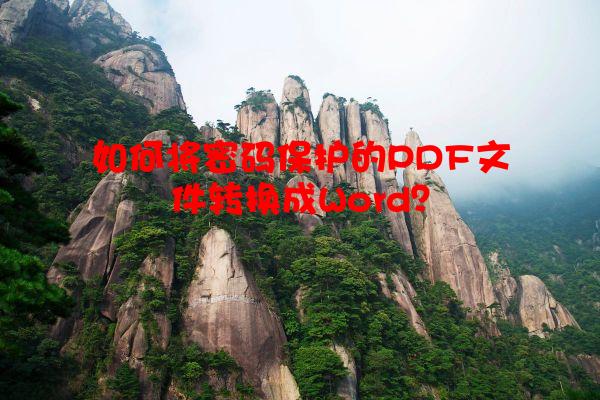 如何将密码保护的PDF文件转换成Word？