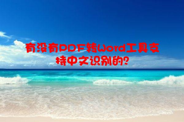 有没有PDF转Word工具支持中文识别的？