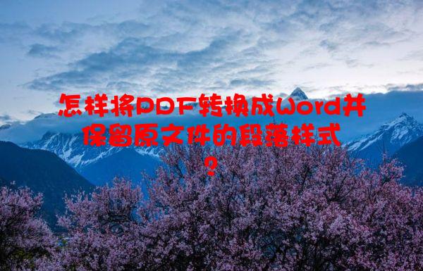怎样将PDF转换成Word并保留原文件的段落样式？
