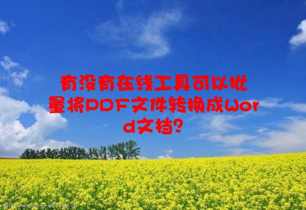 有没有在线工具可以批量将PDF文件转换成Word文档？