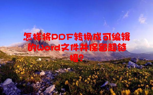 怎样将PDF转换成可编辑的Word文件并保留超链接？