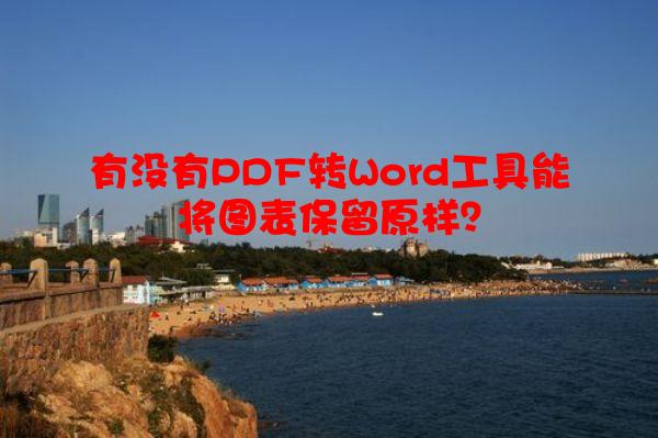有没有PDF转Word工具能将图表保留原样？