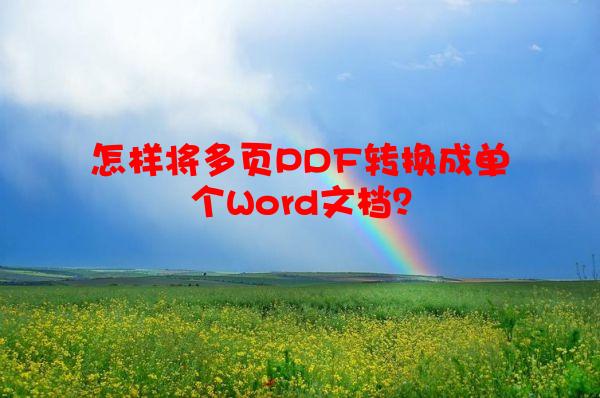 怎样将多页PDF转换成单个Word文档？