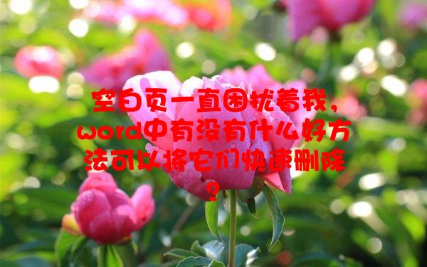 空白页一直困扰着我，word中有没有什么好方法可以将它们快速删除？