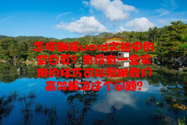 怎样删除word文档中的空白页？有没有一些实用的技巧可以帮助我们高效解决这个问题？