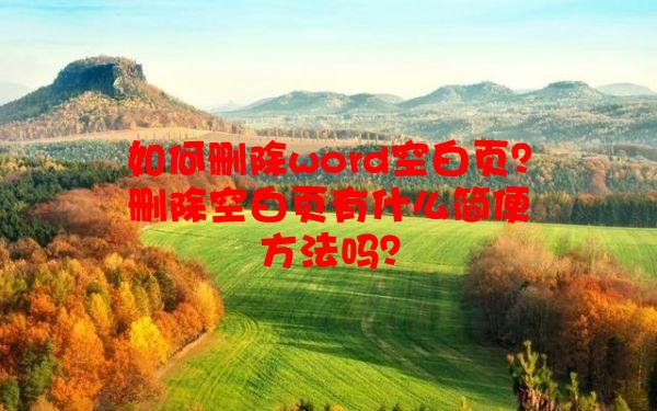 如何删除word空白页？删除空白页有什么简便方法吗？