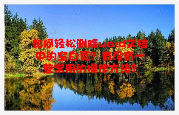如何轻松删除word文档中的空白页？有没有一些常用的操作方法？