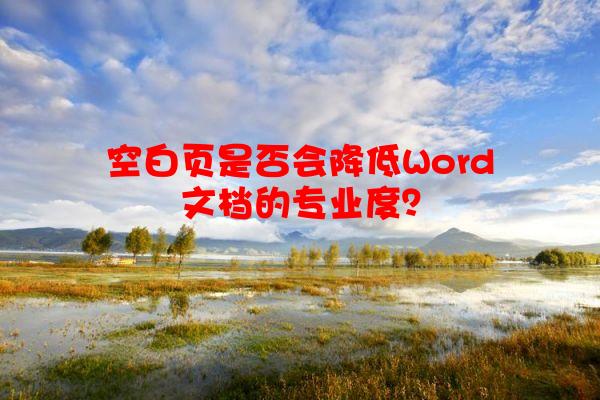 空白页是否会降低Word文档的专业度？