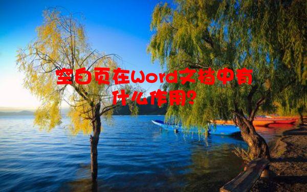 空白页在Word文档中有什么作用？