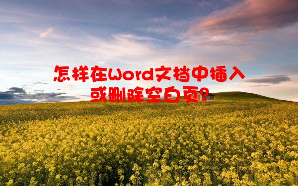 怎样在Word文档中插入或删除空白页？