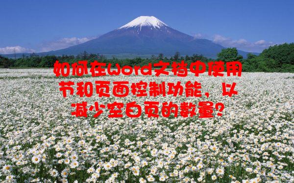 如何在Word文档中使用节和页面控制功能，以减少空白页的数量？