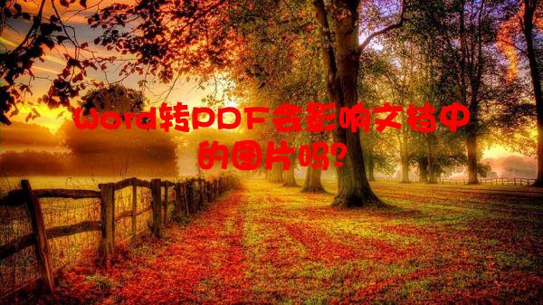 Word转PDF会影响文档中的图片吗？