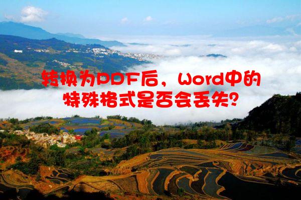 转换为PDF后，Word中的特殊格式是否会丢失？