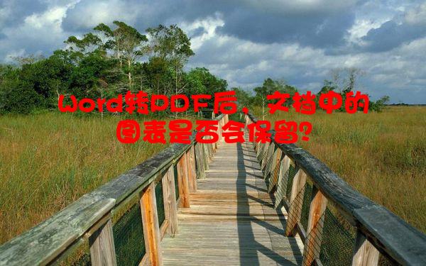 Word转PDF后，文档中的图表是否会保留？