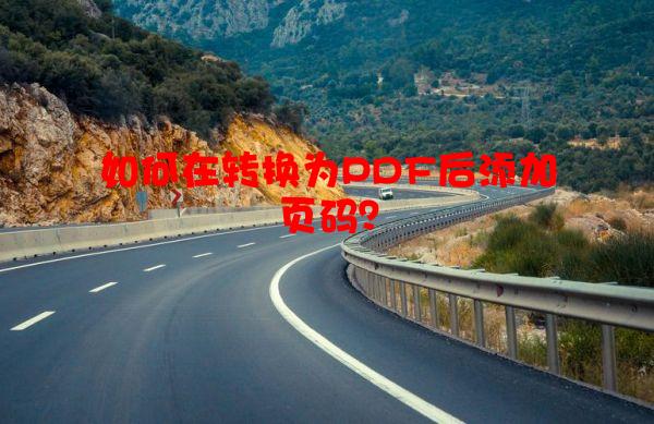 如何在转换为PDF后添加页码？