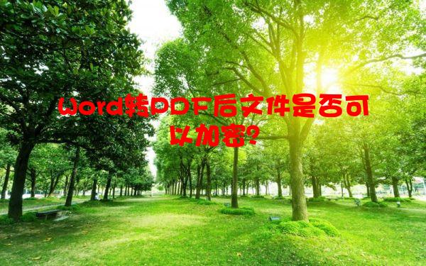 Word转PDF后文件是否可以加密？