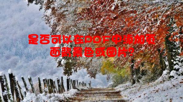 是否可以在PDF中添加页面背景色或图片？