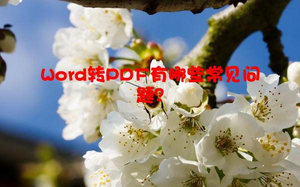 Word转PDF有哪些常见问题？