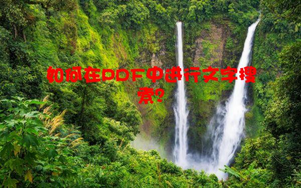 如何在PDF中进行文字搜索？