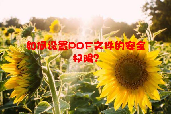 如何设置PDF文件的安全权限？