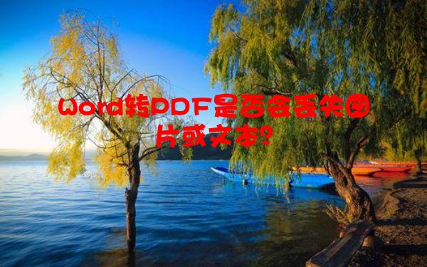 Word转PDF是否会丢失图片或文本？