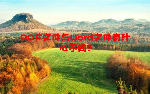 PDF文件与Word文件有什么不同？