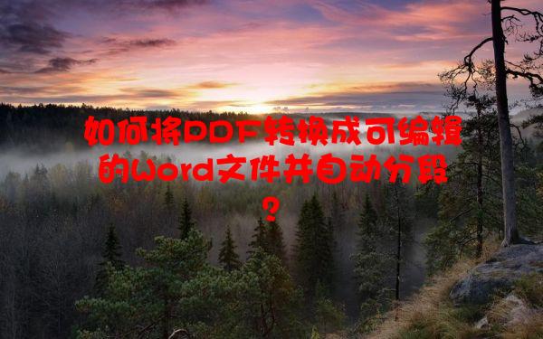 如何将PDF转换成可编辑的Word文件并自动分段？
