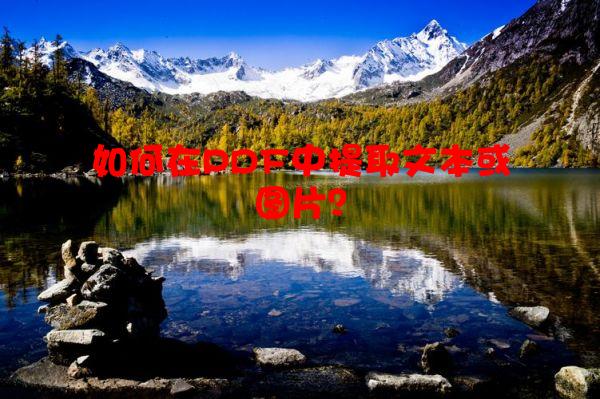 如何在PDF中提取文本或图片？