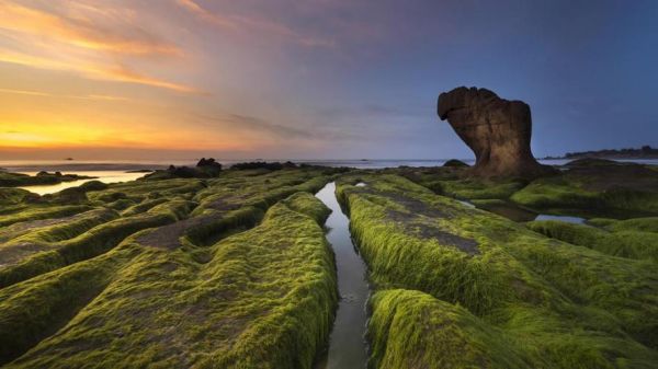 如何清除C盘中的四十个文件并防止再次生成？